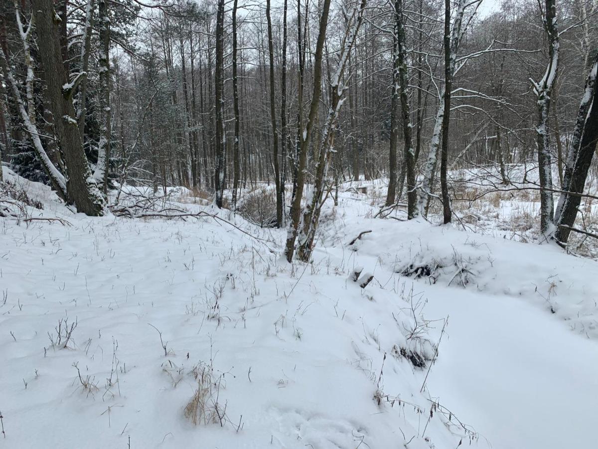 Agroturystyka Gesiniec Stare Osieczno المظهر الخارجي الصورة